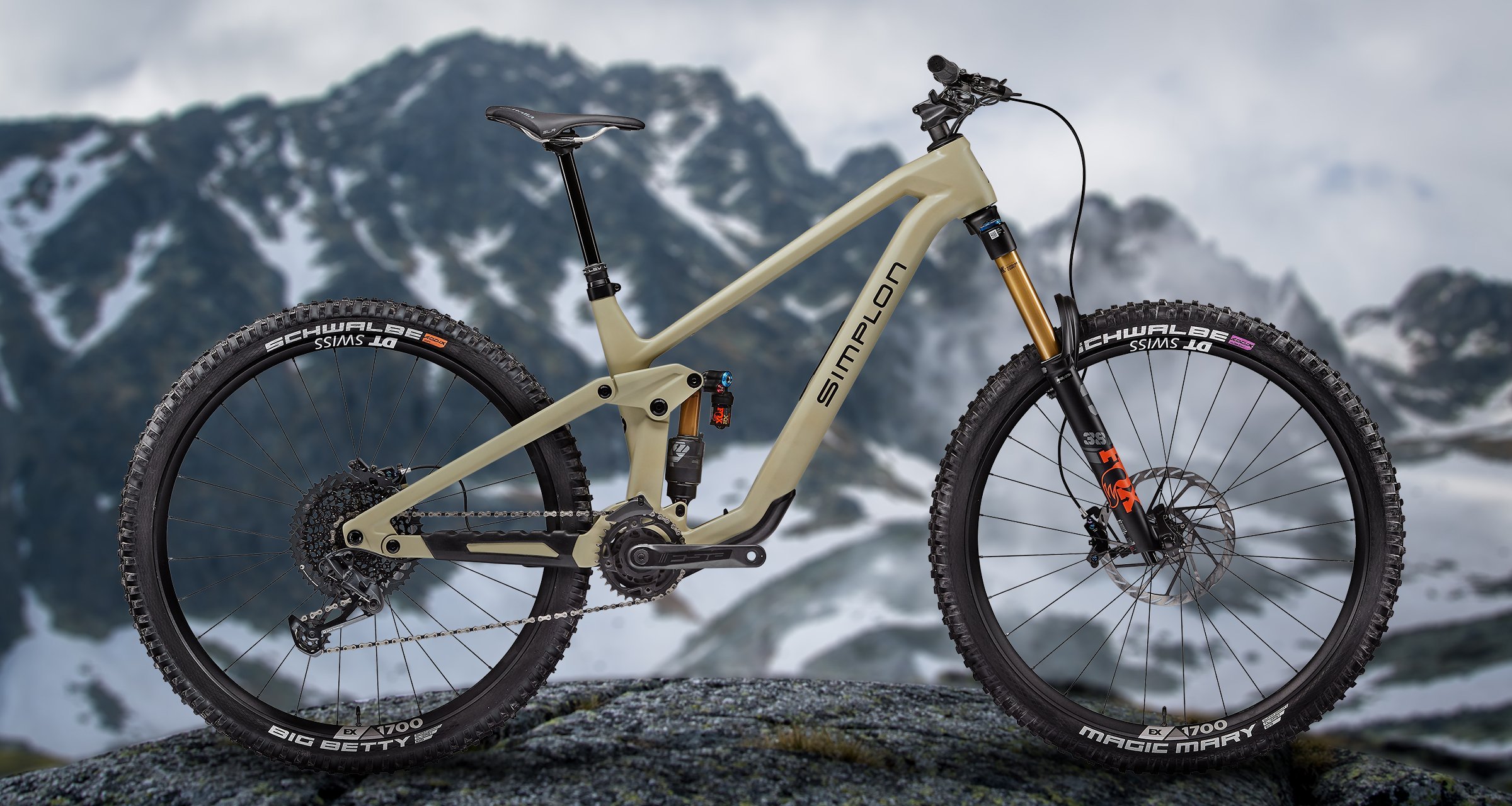 Simplon Rapcon Pmax TQ Neues Light E MTB Mit TQ Motor