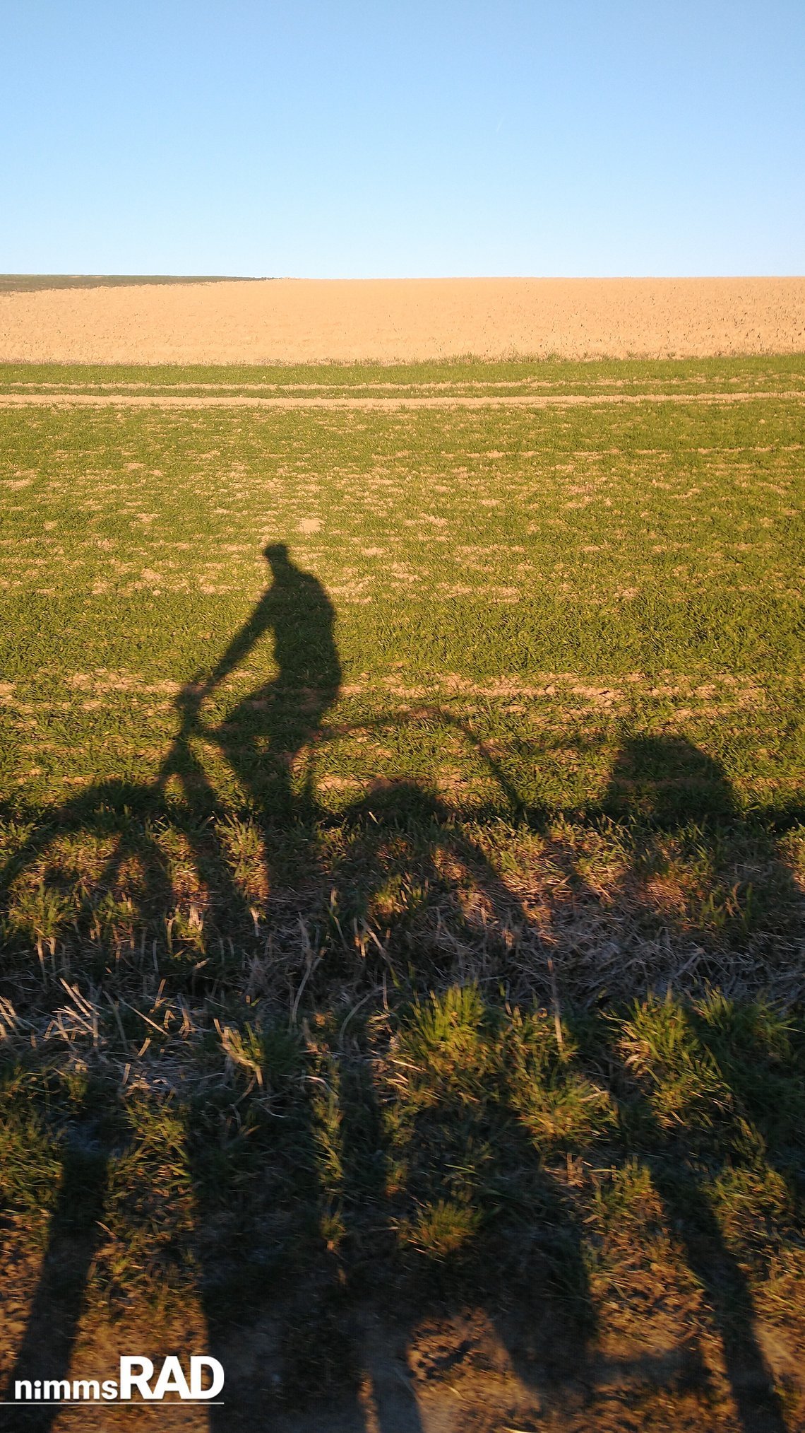 Canyon-Precede-ON-Test-Kinderanhänger NimmsRad-3