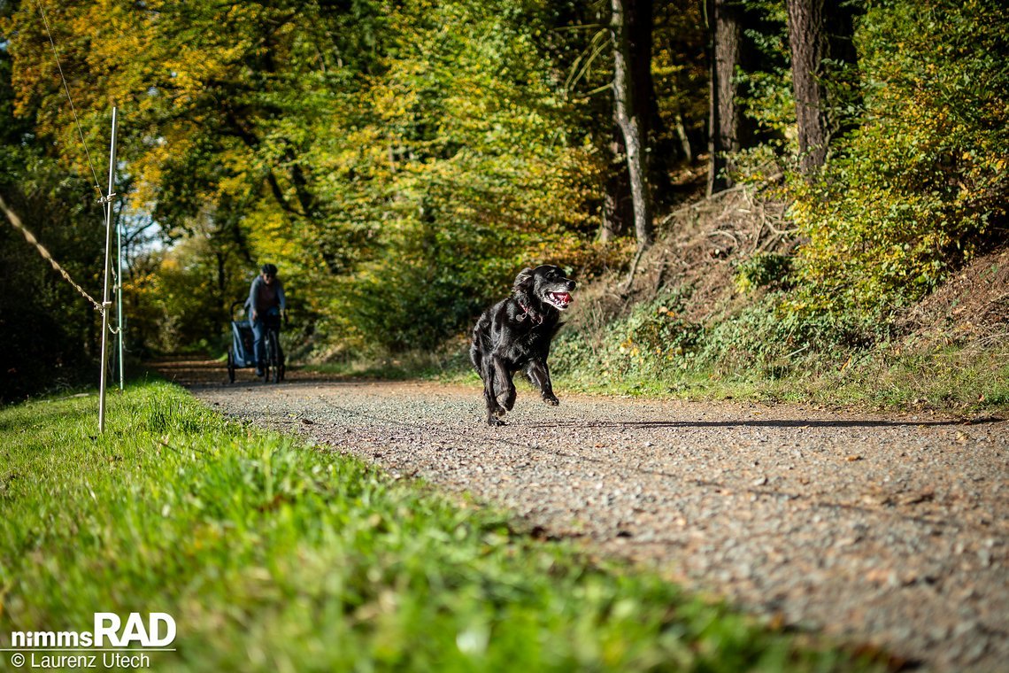 Nach Kita und Kiga noch schnell den Hund über die Piste jagen – kein Problem mit dem praktischen Kinderanhänger von Hauck.