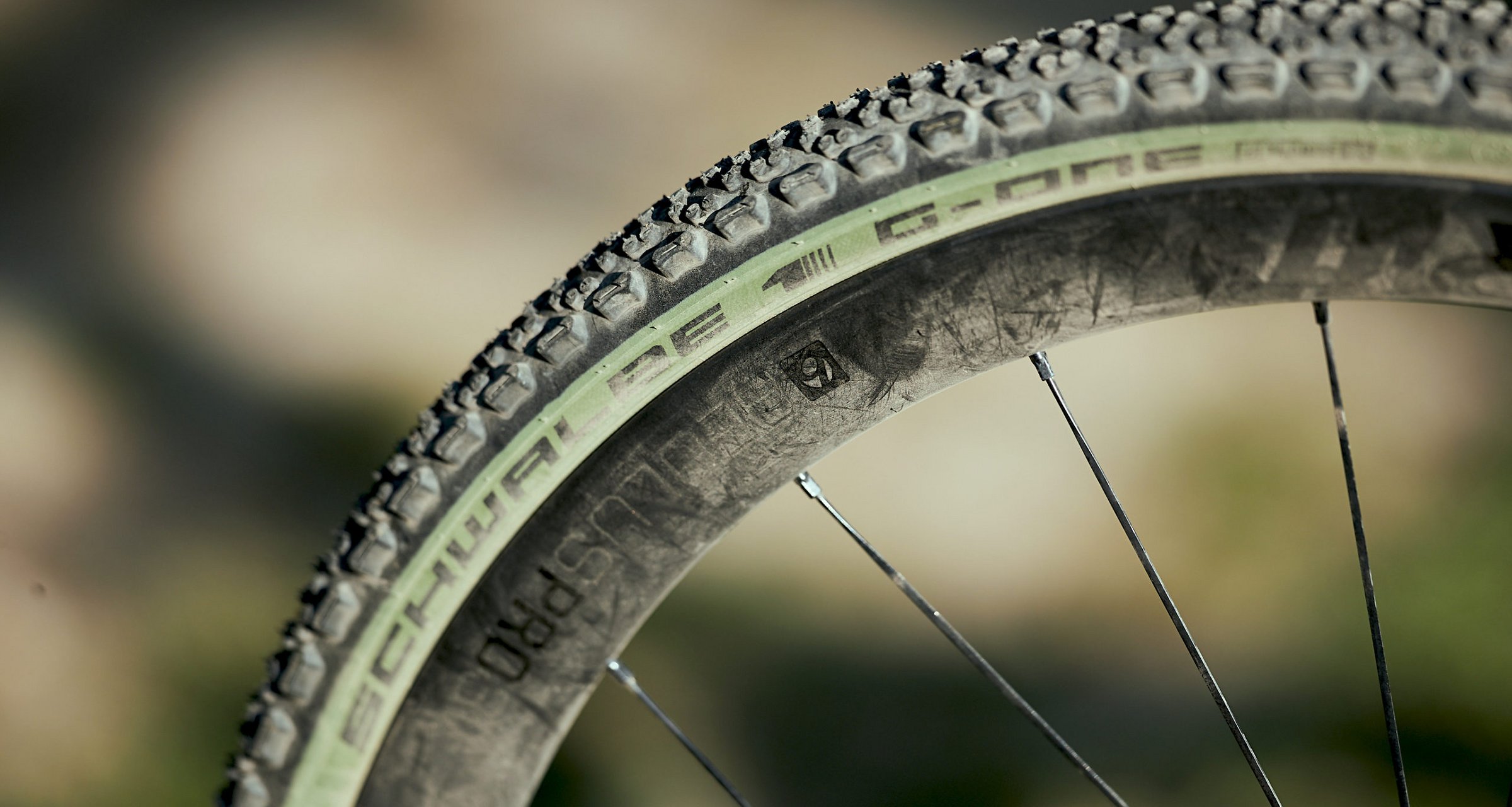 Schwalbe GOne Ultrabite OliveSkin Der Gleiche in Grün RennradNews