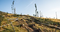 Artikelbild: Downhill DM 2025 – Ilmenau: Thüringer Kurven –  Fotostory vom Trackwalk