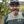 Rico Haase