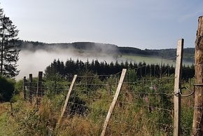 Landschaft auf belgisch.