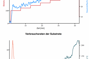 Auf der unteren Grafik ist gut zu sehen, dass die Fettverbrennung lange auf einem Plateau verläuft