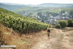 In der Abfahrt liegt das Bike sicher ...