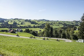 Dank überarbeitetem Motor absolvierten wir das sehr hügelige Streckenprofil nahezu mühe- und geräuschlos.