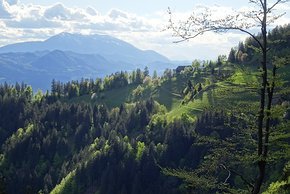Slowenien ist bergig