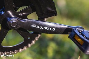 Buffalo Bike-8