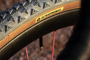 Farblich passende Ultradynamico Gravel-Reifen sind tubeless aufgezogen.