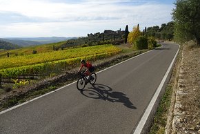 Weinreben begleiten uns durchs Chanti Gebiet.