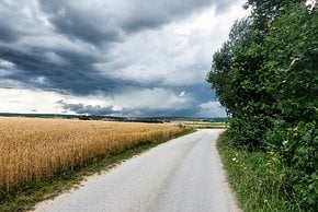 Auch wenn sich der Regen mittags wieder verzogen hat, blicke ich ihm abends wieder entgegen.