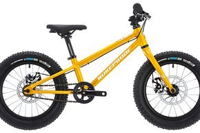 ... Nukeproof Cub Scout 16 kommen Scheibenbremsen zum Einsatz.