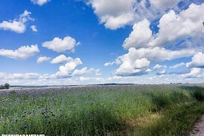 Dort erwartet mich tolle Landschaft und schöne Gravelstraßen.