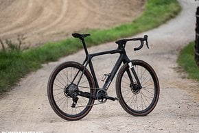 Mit 8,1 kg ist das Testbike recht leicht, aber kein ausgesprochenes Leichtgewicht.