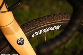 CX Bikes der Pros 2020-69