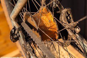 ...ist eine 14-Gang Rohloff-Nabe an Bord.