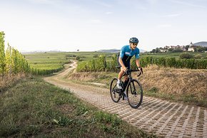 Die entspannte Geometrie und breite Reifen machen auch auf schlechten Straßen Spaß