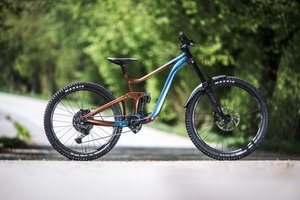 Giant Reign SX V2 im Test: Der Freeride-Preiskracher mit Potenzial