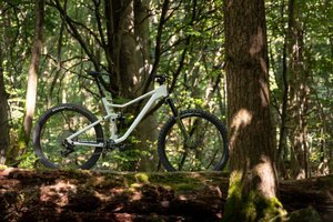 Rose Root Miller im ersten Test: Cooles Trail Bike zum Bestpreis