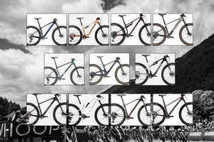 11 günstige Cross-Country-Bikes: Das sind die spannendsten Modelle unter 4.000 €