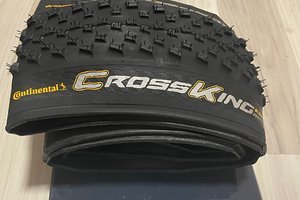 X-King ProTection 29er