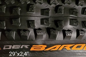 Der Baron 2.4 Projekt ProTection Apex 29x2.4