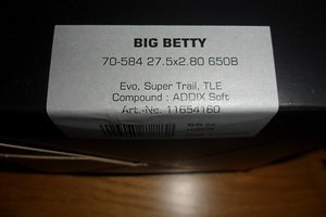 Schwalbe Big Betty
