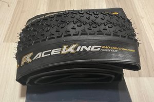 Race King Protection