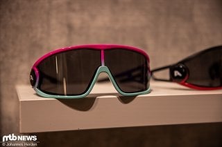 Alpina Legend Fahrradbrille