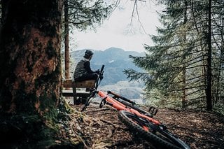 Gerade in Ballungsräumen kann es im Wald mal eng werden.