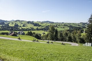 Dank überarbeitetem Motor absolvierten wir das sehr hügelige Streckenprofil nahezu mühe- und geräuschlos.