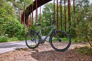 S steht für straff: Das Gazelle Chamonix S11 verzichtet auf den gefederten Gabelschaft.