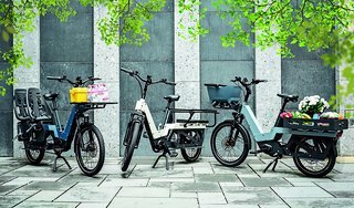 Bild 1 ALOO Cargo-E-Bike 3 Bikes Frontansicht mit Blättern