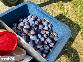 Ob Einkauf oder spontaner Mundraub: Die Aerostuffy Thermobox ist für jede Schandtat bereit.