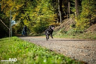 Nach Kita und Kiga noch schnell den Hund über die Piste jagen – kein Problem mit dem praktischen Kinderanhänger von Hauck.