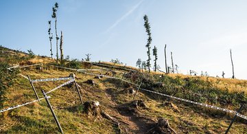 Artikelbild: Downhill DM 2025 – Ilmenau: Thüringer Kurven –  Fotostory vom Trackwalk