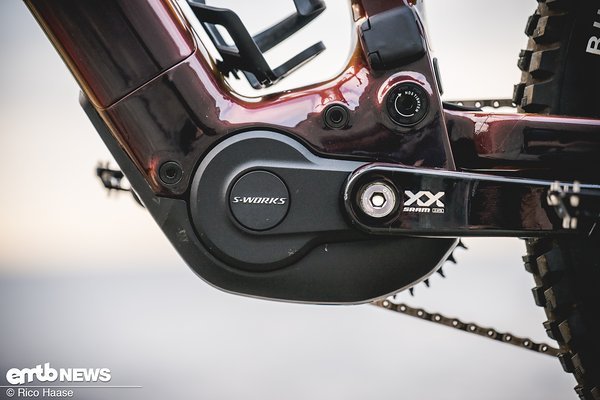 Specialized 3.1