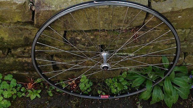 DSC_1315.JPG
