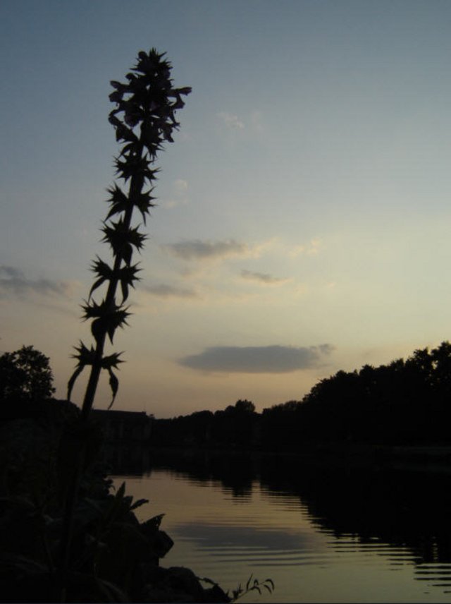 3832812059_537f6f71bc_o.jpg