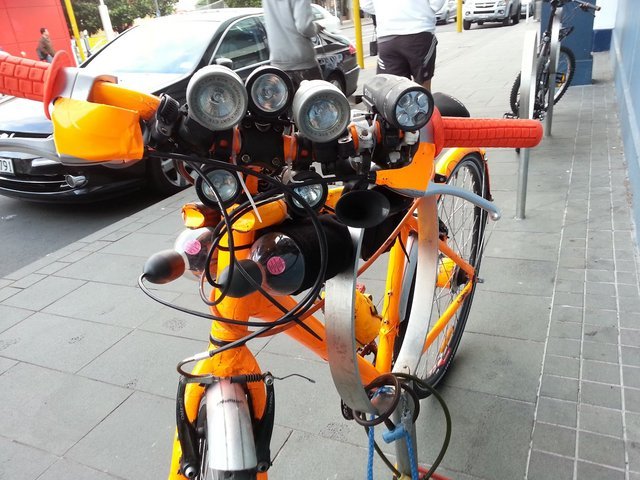 orange-cock-2.jpg