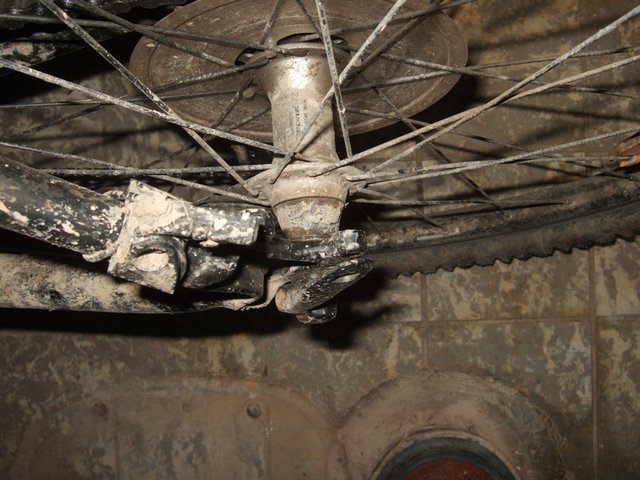 DSCF7442.JPG