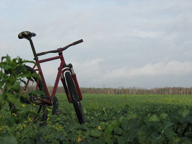 Bild_03314.jpg