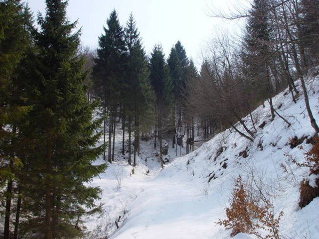 DSC03500.JPG