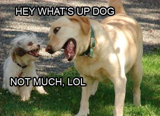 tumblr_lbqr5f55aM1qasjkvo1_500.jpg