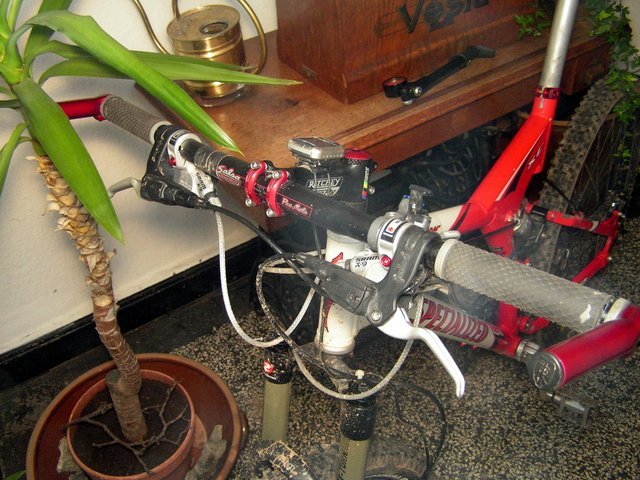 PICT00467.JPG