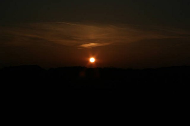 MG_5337.JPG