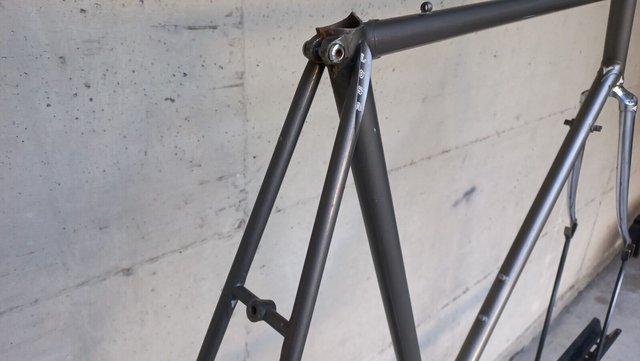 losa-professional-telaio-grigio-forcellini-psoteriori-losa-10-jpg.1202548