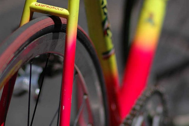 Fyxomatosis-3.jpg
