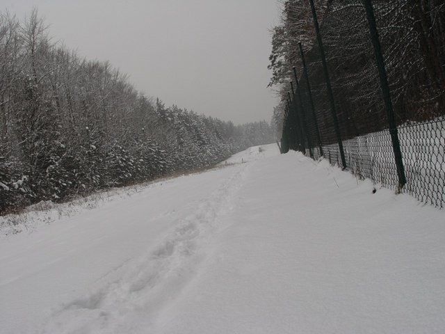 DSC00096.jpg