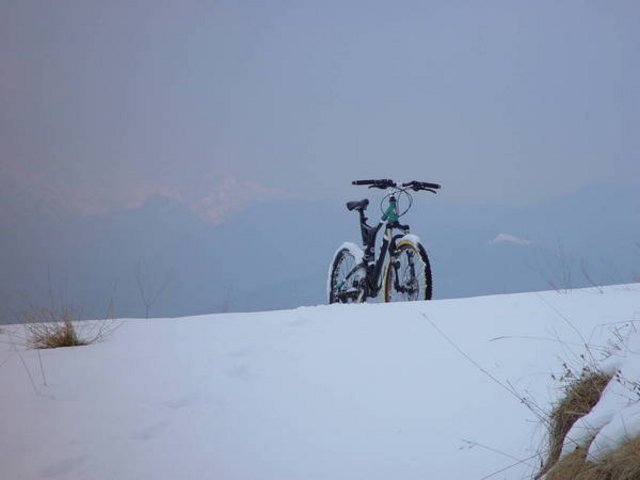 DSC03509.JPG